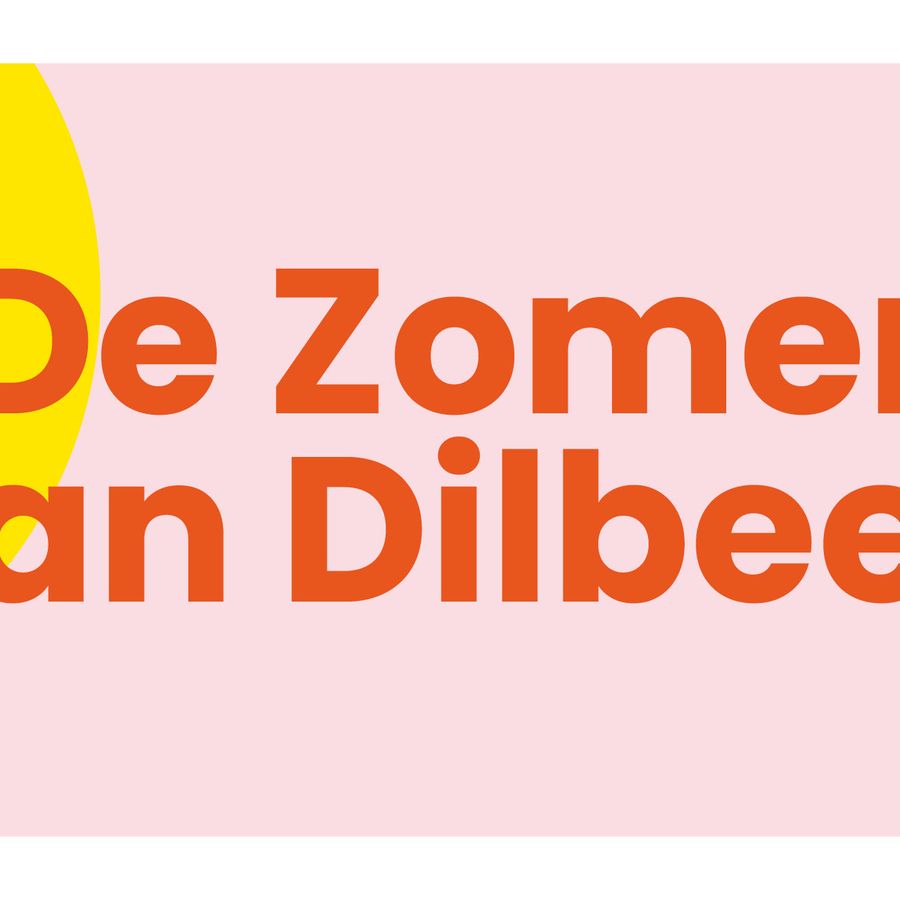 De Zomer van Dilbeek